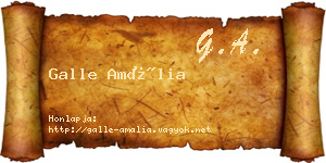 Galle Amália névjegykártya